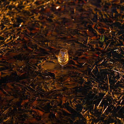 Grounded In Flavour - Waterford Distillery x National Science Week